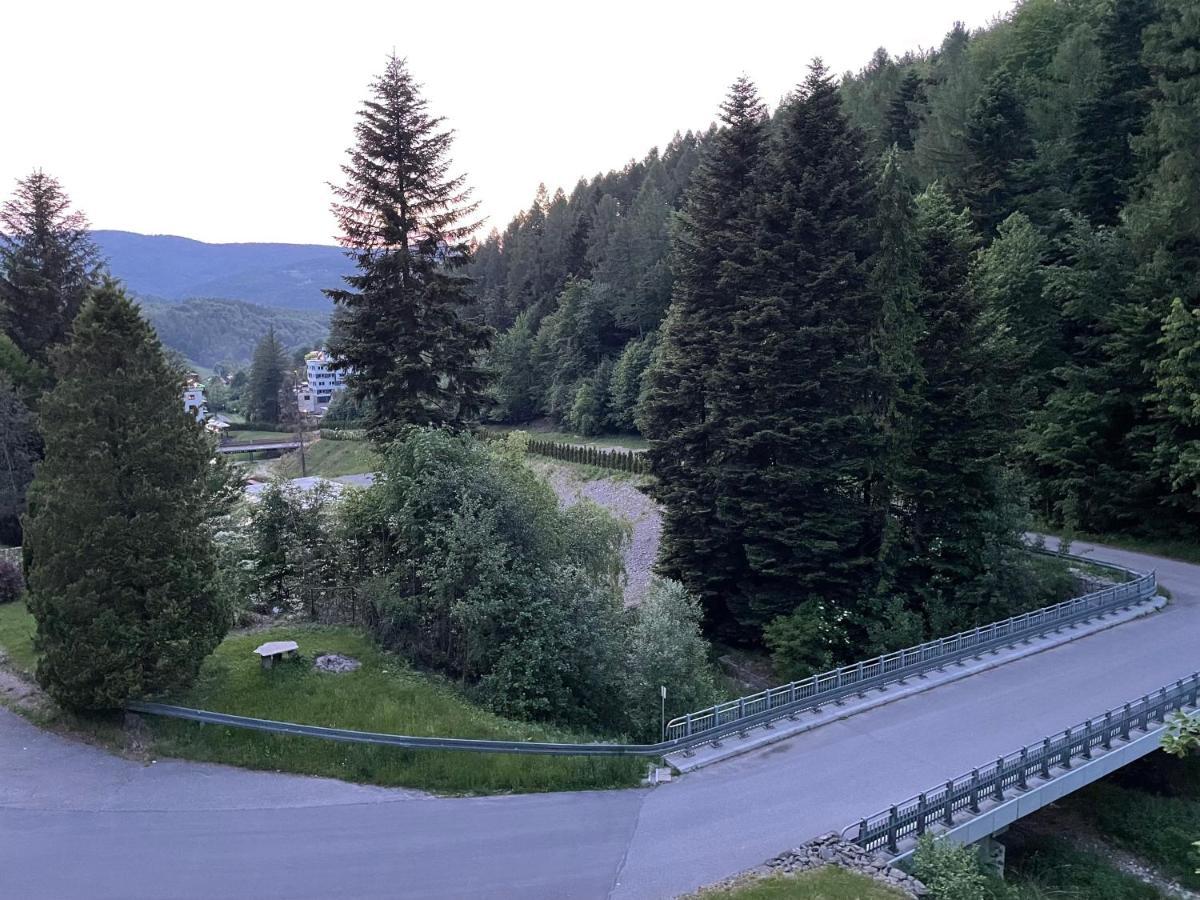 Apartament Kurort Kozubnik - Taras Nad Potokiem Porąbka エクステリア 写真