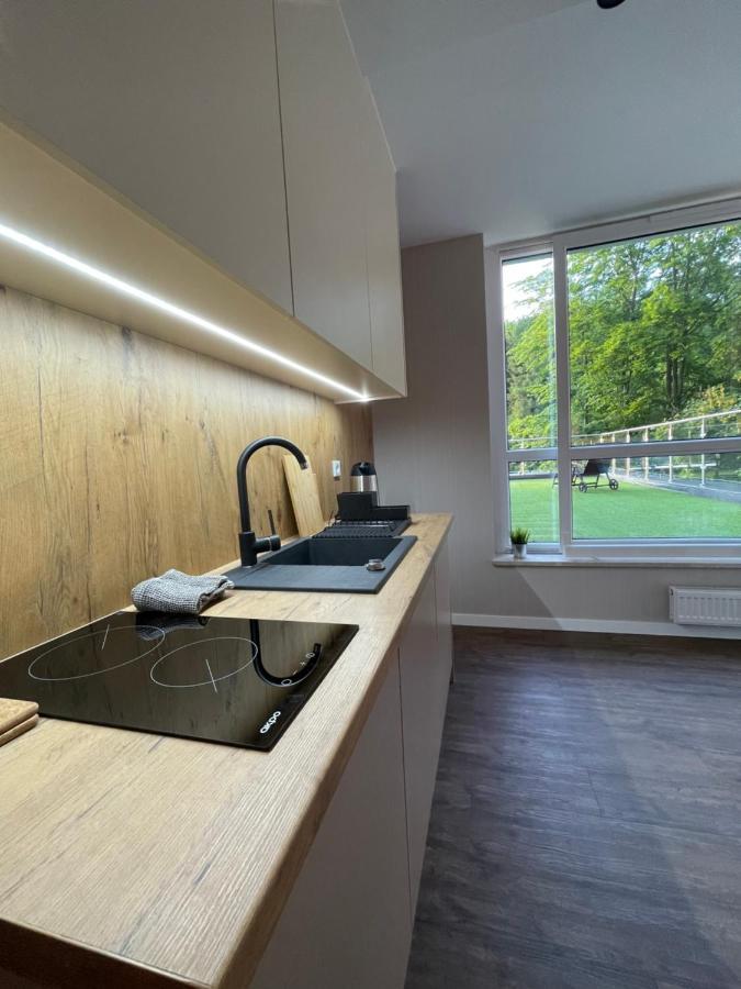 Apartament Kurort Kozubnik - Taras Nad Potokiem Porąbka エクステリア 写真