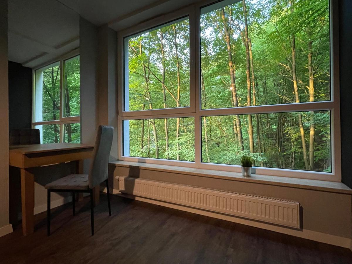 Apartament Kurort Kozubnik - Taras Nad Potokiem Porąbka エクステリア 写真