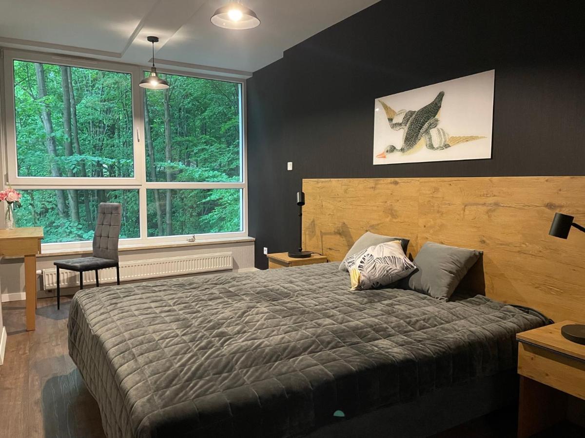 Apartament Kurort Kozubnik - Taras Nad Potokiem Porąbka エクステリア 写真