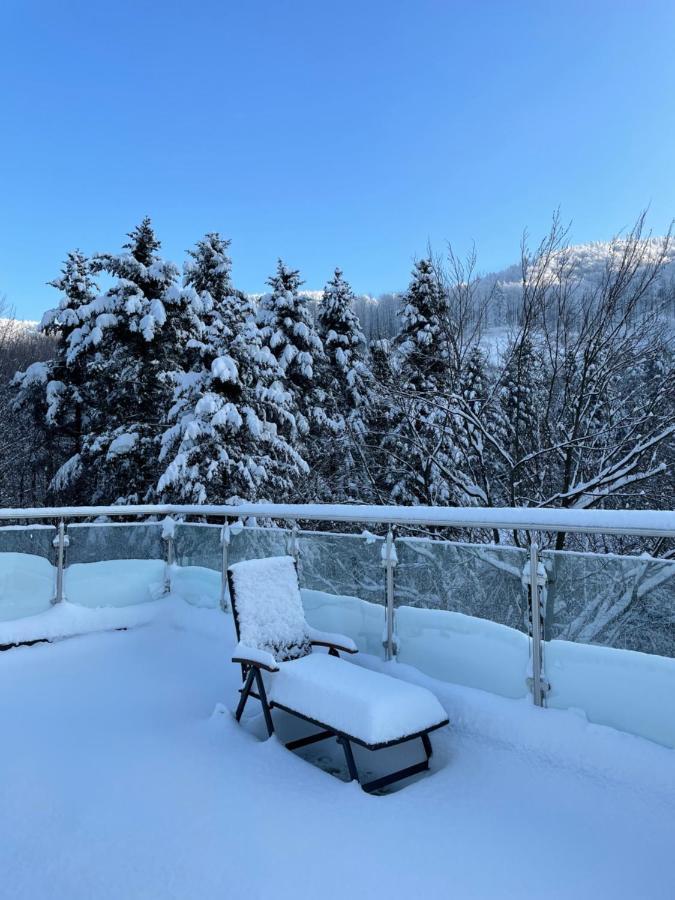 Apartament Kurort Kozubnik - Taras Nad Potokiem Porąbka エクステリア 写真