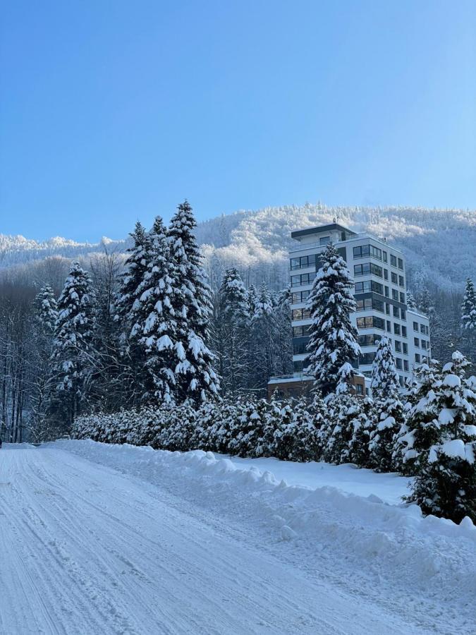 Apartament Kurort Kozubnik - Taras Nad Potokiem Porąbka エクステリア 写真