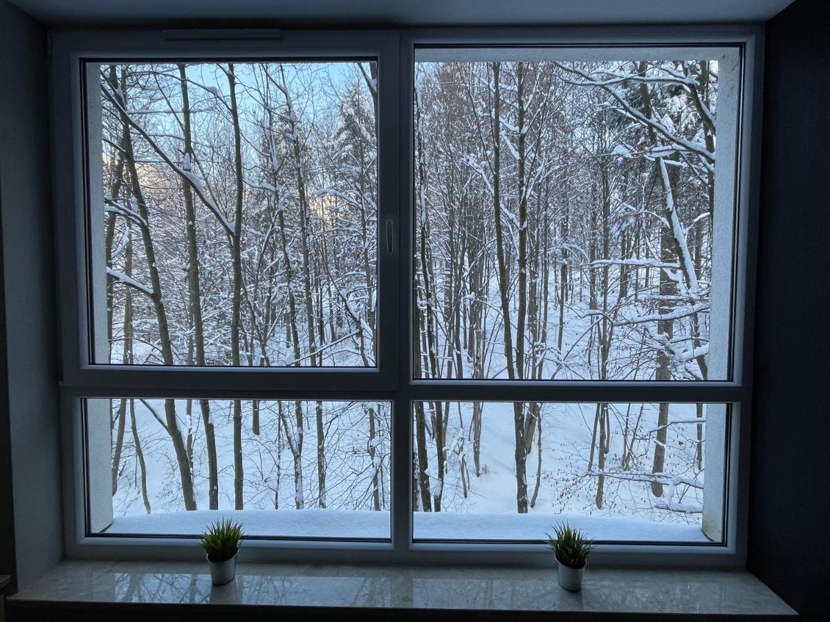 Apartament Kurort Kozubnik - Taras Nad Potokiem Porąbka エクステリア 写真