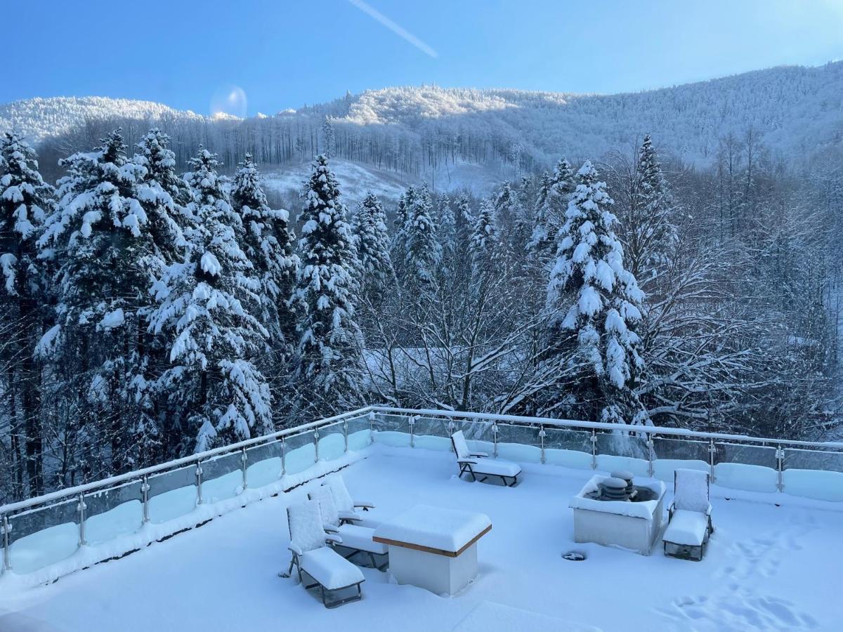 Apartament Kurort Kozubnik - Taras Nad Potokiem Porąbka エクステリア 写真